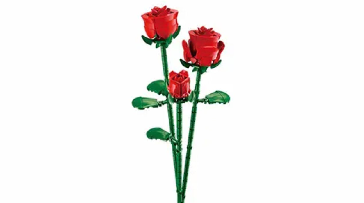 Red Rose by Sluban
