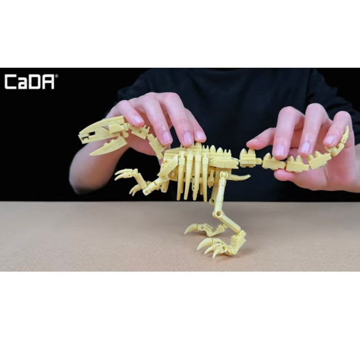 Dinosaur Fossils - Velociraptor by CaDA