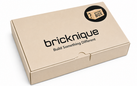 Bricknique Brick Build Mystery Box