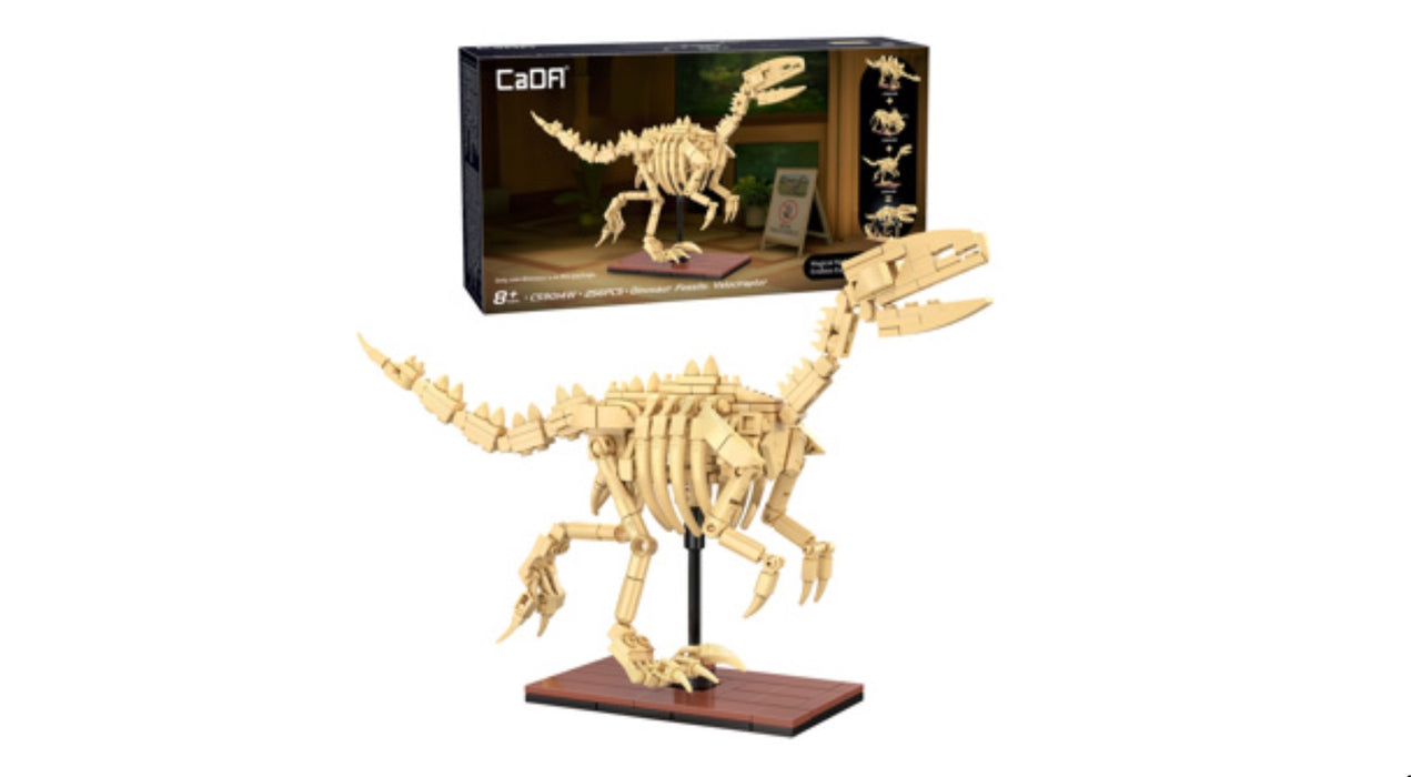 Dinosaur Fossils - Velociraptor by CaDA