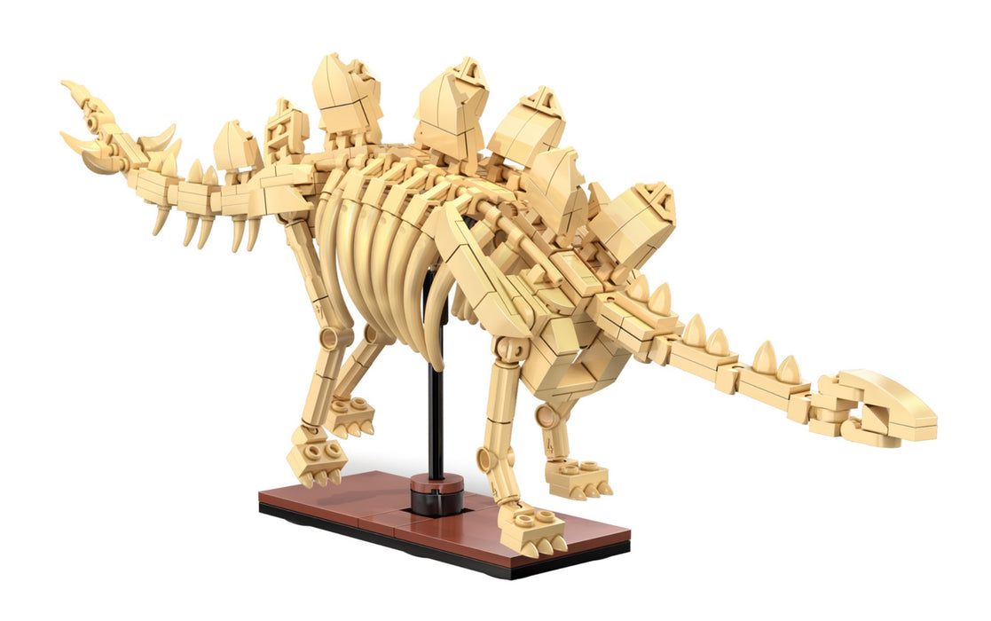 Dinosaur Fossils - Stegosaurus by CaDA