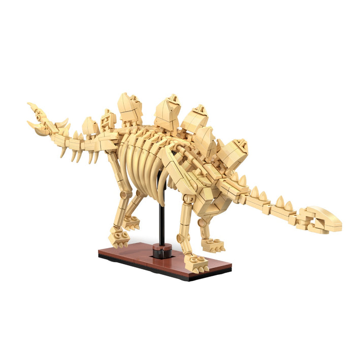 Dinosaur Fossils - Stegosaurus by CaDA