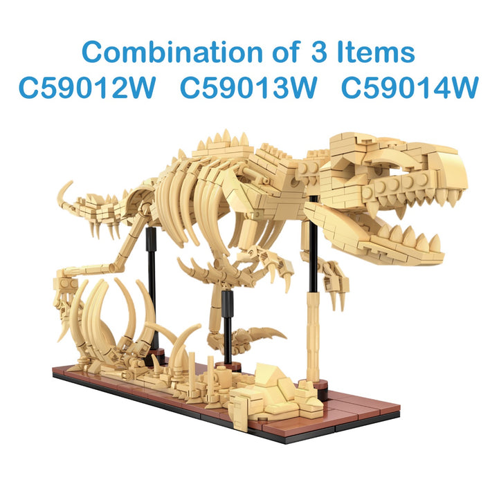Dinosaur Fossils - Stegosaurus by CaDA
