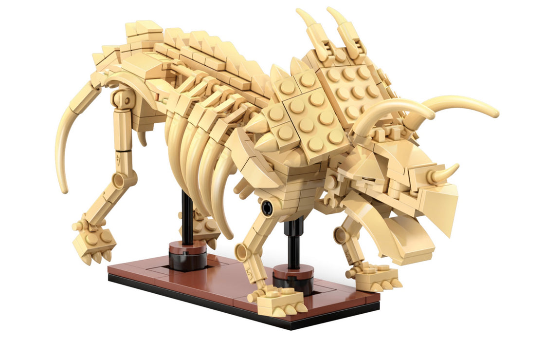Dino Fossil - Triceratops