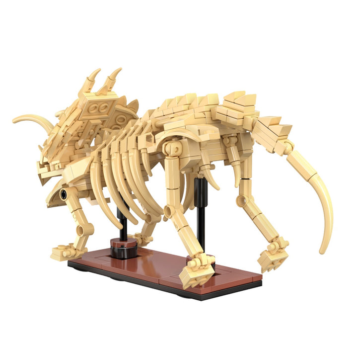 Dino Fossil - Triceratops