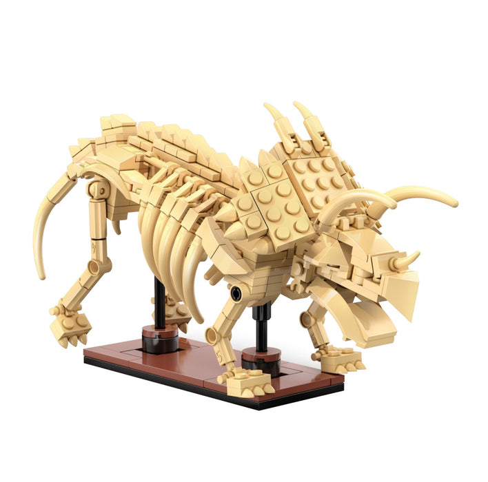 Dino Fossil - Triceratops