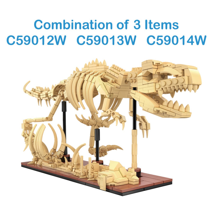 Dino Fossil - Triceratops