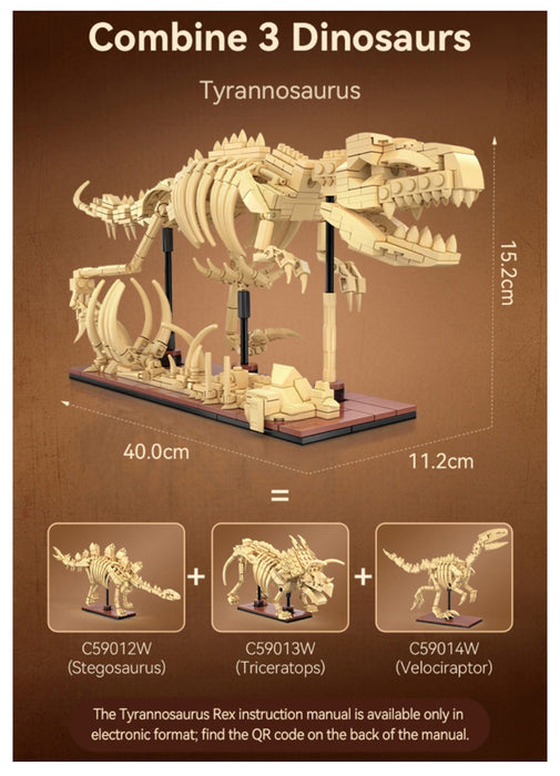 Dino Fossil - Triceratops