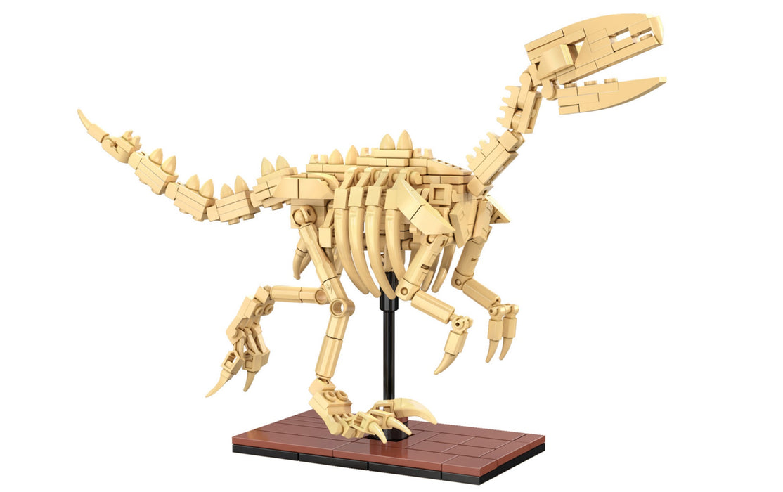 Dinosaur Fossils - Velociraptor by CaDA