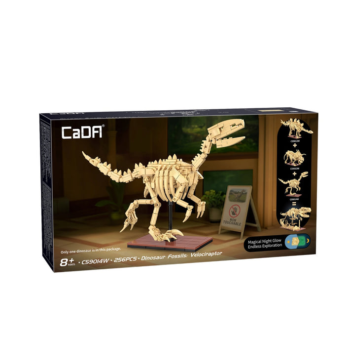 Dinosaur Fossils - Velociraptor by CaDA
