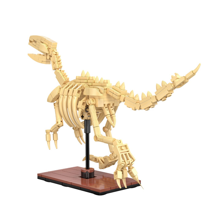 Dinosaur Fossils - Velociraptor by CaDA