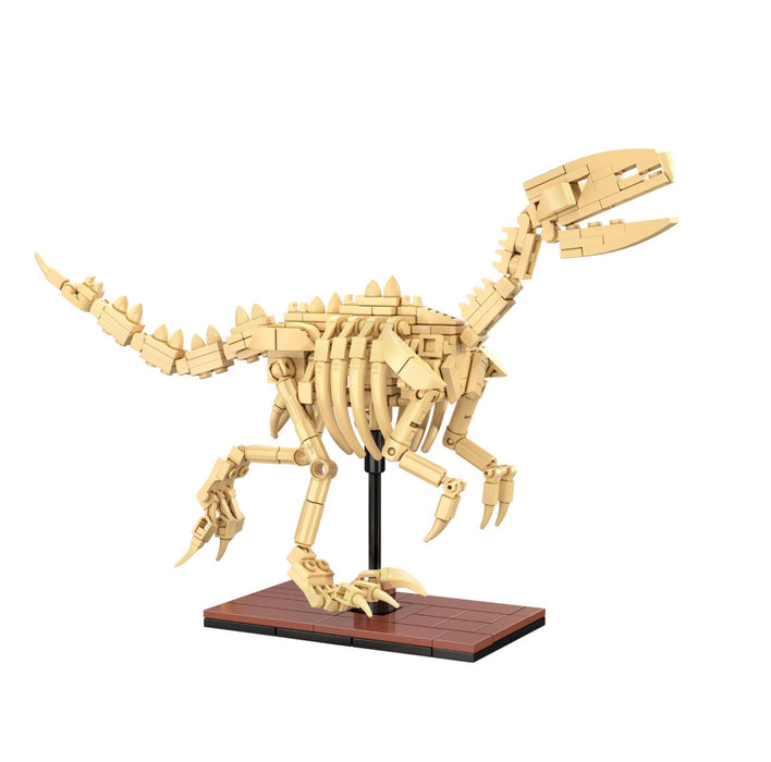 Dinosaur Fossils - Velociraptor by CaDA
