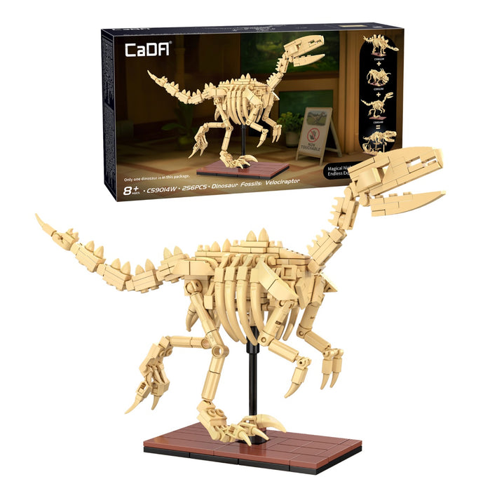 Dinosaur Fossils - Velociraptor by CaDA