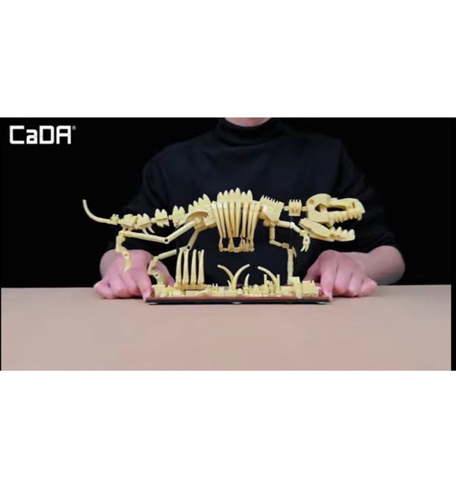 Dinosaur Fossils - Velociraptor by CaDA